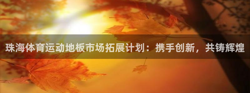 678体育官网：珠海体育运动地板市场拓展计划：携手创新，共铸辉煌