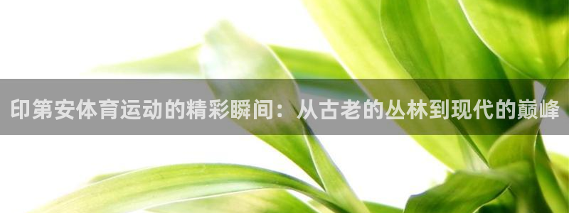 678体育app：印第安体育运动的精彩瞬间：从古老的丛林到现代的巅峰