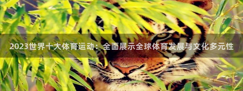 678体育官网下载：2023世界十大体育运动：全面展示全球体育发展与文化多元性