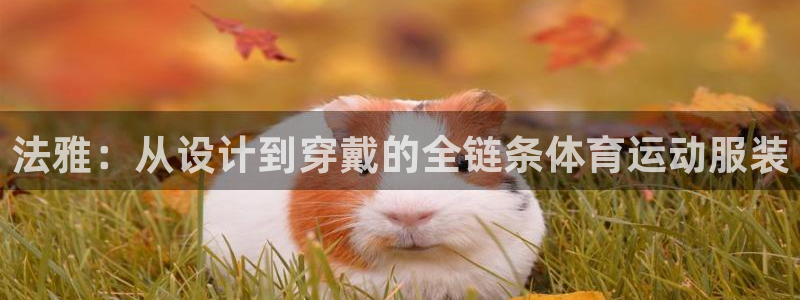 678体育官网地址：法雅：从设计到穿戴的全链条体育运动服装