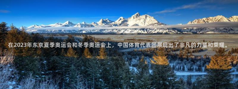 678体育：在2023年东京夏季奥运会和冬季奥运会上，中国体育代表团展现出了非凡的力量和荣耀。