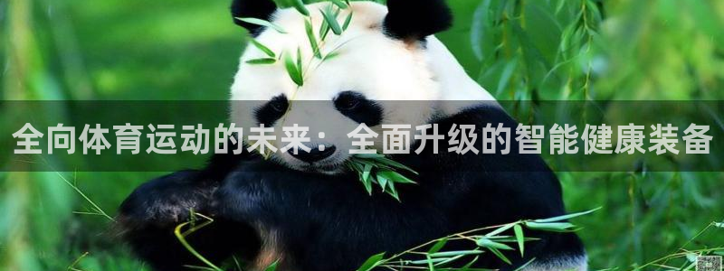 678体育官网下载：全向体育运动的未来：全面升级的智能健康装备