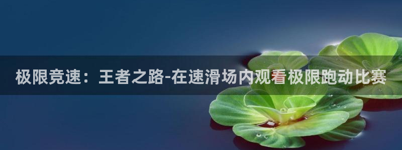 678体育官网地址：极限竞速：王者之路-在速滑场内观看极限跑动比赛