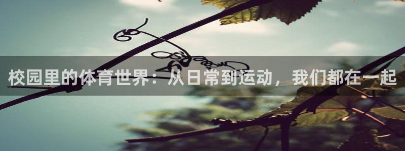 678体育：校园里的体育世界：从日常到运动，我们都在一起